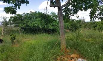 Imagem 7: Fazenda em poções BA
