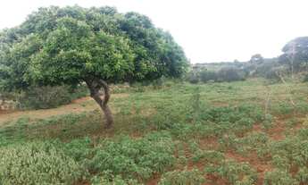 Imagem 6: Fazenda em poções BA
