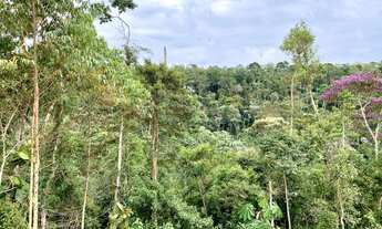 Imagem 4: Paraíso Ecológico em Santa Teresa Com 4 Hectares