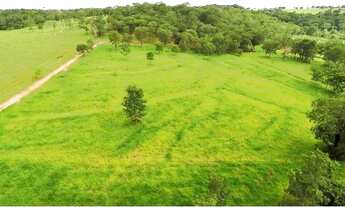 Imagem 4: Chácara para Venda em Uberlândia