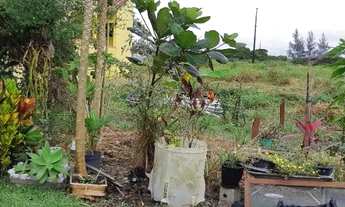 Imagem 3: Terreno Ilha Comprida,vendo ou troco por chácara