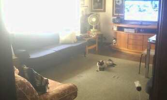 Imagem 2: CASA ASSOBRADADA - SUMARÉ - SP