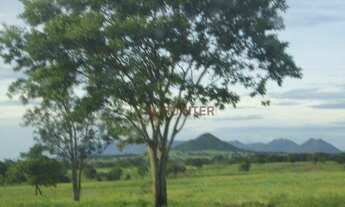 Imagem 15: Fazenda à venda, m² por R$ 110.000.000,00 - Zona Rural - Alvorada do Norte/GO