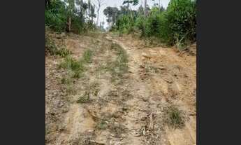 Imagem 5: 20 alqueires divisa Rondônia e Amazonas