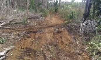 Imagem 4: 20 alqueires divisa Rondônia e Amazonas