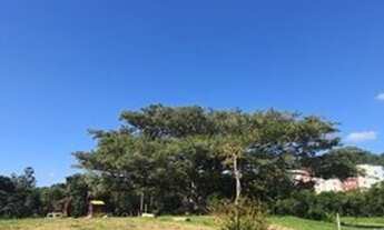 Imagem 3: Porto Alegre - Terreno Padrão - Campo Novo