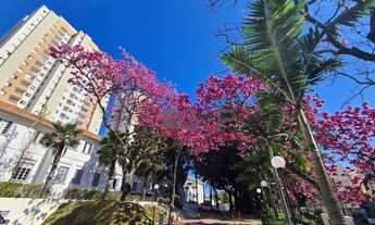 Imagem 7: EPP l Páteo Abolição l 2 Dormitórios ( Suíte) l 1 Vaga Coberta