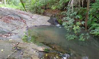 Imagem 3: Chácara em Mairipotaba a 80 km de Goiânia com córrego energia chácaras 20.000 metros