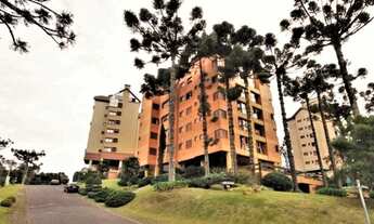 Imagem 2: CANELA - Padrão - Quinta da Serra