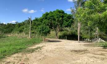 Imagem 5: Sítio no município de Itaporanga