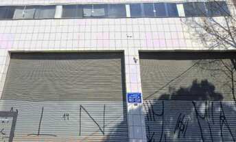 Imagem 2: Galpão para aluguel, Vila Ribeiro de Barros - São Paulo/SP