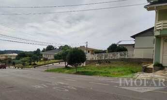 Imagem 4: FARROUPILHA - Terreno Padrão - Medianeira