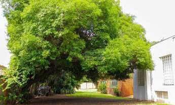 Imagem 2: Locação de Casas / Padrão na cidade de Araraquara