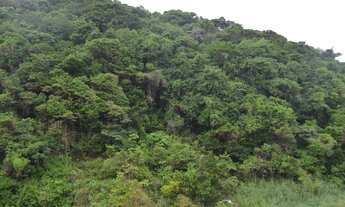 Imagem 7: Oportunidade!!! Vendo excelente apartamento na Avenida Niemeyer!!!