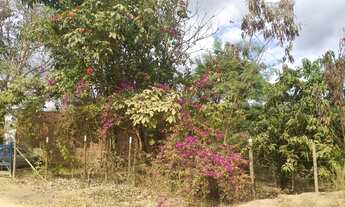 Imagem 3: CHÁCARA VALE VERDE EM IPABA-MG