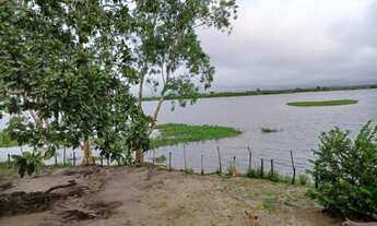 Imagem 5: FAZENDA EM PENALVA COM PORTEIRA FECHADA