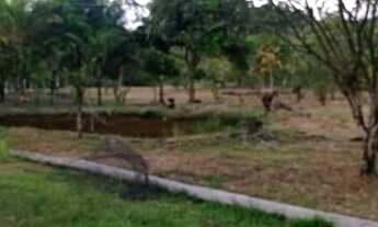 Imagem: Terreno em Cachoeiras de Macacu