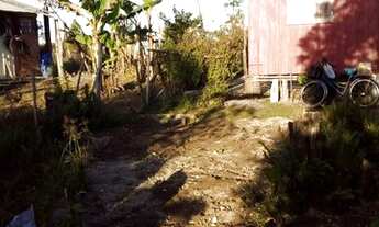 Imagem 4: Chácara com casa de madeira e banheiro de alvenaria em Paranaguá PR