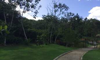 Imagem 6: Terreno Plano Condominio Catágua Way Sul 275 metros