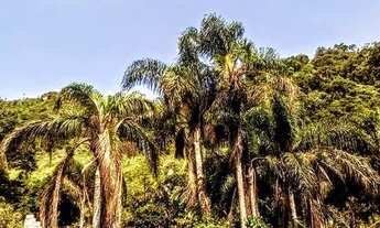 Imagem 7: LINDO SÍTIO DA SERRA JUÍZ DE FORA/MONTE VERDE