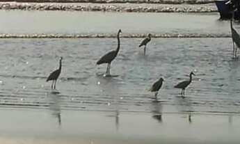 Imagem 5: Prédio/Edifício inteiro para venda com 1200 metros quadrados