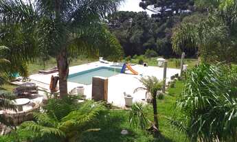 Imagem: Fazenda/Sítio/Chácara para venda com 40000