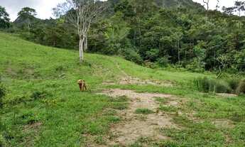 Imagem 5: Vende-se Terreno