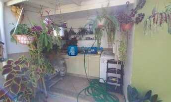 Imagem 5: PALHOçA - Casa Padrão - Madri