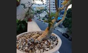 Imagem: Apartamento para venda tem 80 metros quadrados