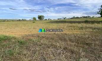 Imagem 7: CURVELO - Fazenda - Zona Rural