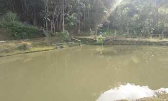 Imagem 2: Sítio a de 5 alqueires a venda em Jacutinga