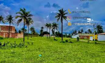 Imagem 7: Loteamento Parque dos Coqueiros em Paracuru