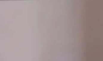 Imagem 5: Aluga-se borboleta