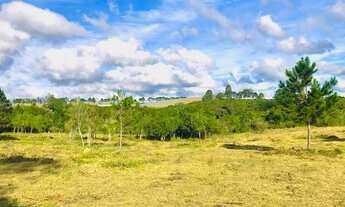 Imagem 2: Lote para venda possui 500 metros