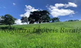 Imagem 4: Sítio com 5 alqueires em Cesário Lange - SP (Nogueira Imóveis Rurais