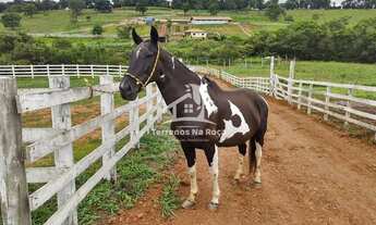 Imagem 5: Haras para venda em Piracema de 210.000 metros quadrados