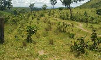 Imagem 6: Fazenda de 102 alqueires em Padre Bernardo Go