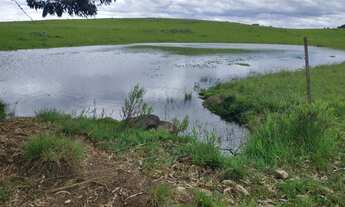 Imagem 6: Sítio com 44 hectares com excelente localização