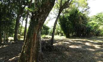 Imagem 5: BLUMENAU - Casa Comercial - Escola Agrícola
