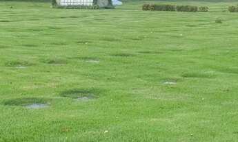 Imagem 3: Jazigo Jardim da Saudade Sulacap