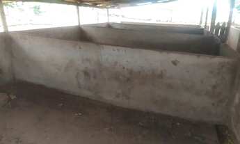 Imagem 4: OPORTUNIDADE! - Chácara em São Jerônimo da Serra - PR - 13.000 metros