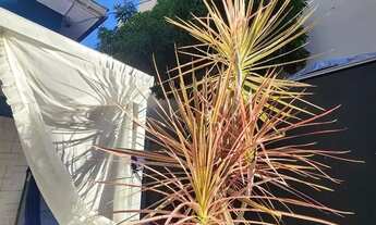 Imagem: Alugo quarto compartilhado