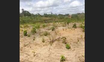 Imagem: Lotes planos e amplos em Barra de pojuca