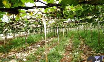 Imagem 2: VENDA Fazenda / sítio com venda por R$500.000