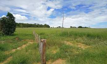 Imagem 6: Sítio ótimo investimento ,casa boa ,formado ,planta 90