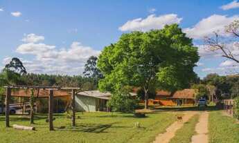 Imagem 3: Pardinho - Chácara - Campos de Elizios