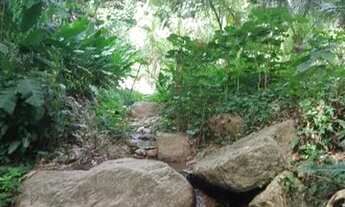 Imagem 2: Ampla Chácara Vila Progresso