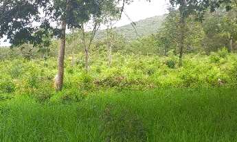 Imagem: Fazenda a venda em Buritis MG com escritura