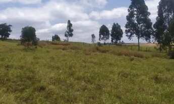Imagem 5: OPORTUNIDADE! - Chácara em São Jerônimo da Serra - PR - 13.000 metros