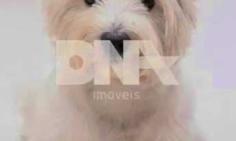 Imagem 6: Apartamento - / Residencial / Lagoa